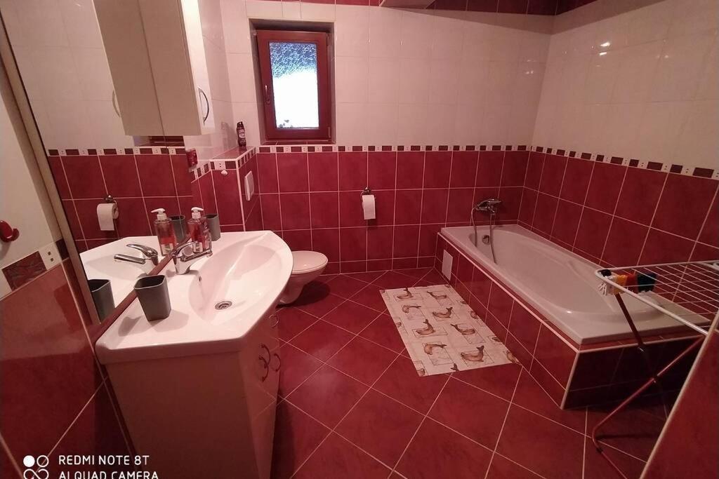 Ubytování Pod statkem Tichá Exterior foto